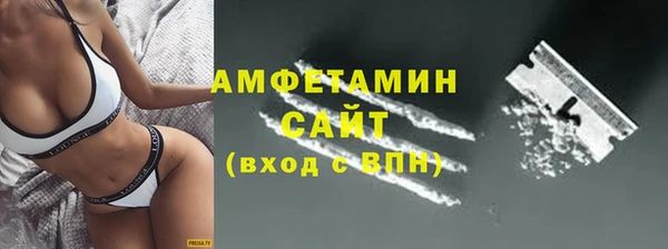 мет Алексин