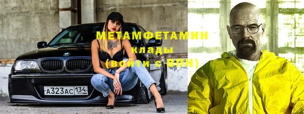 мет Алексин