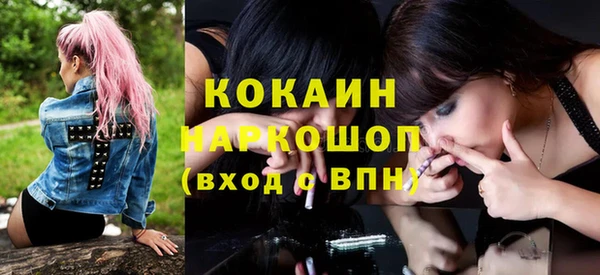 мет Алексин