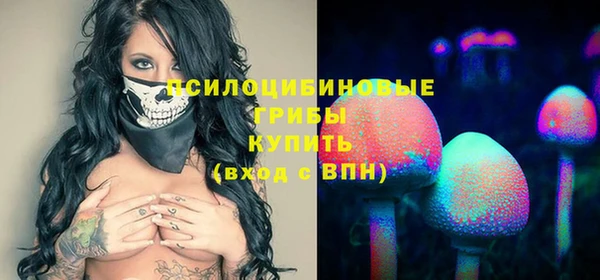 2c-b Алзамай