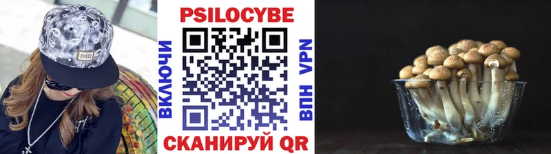Псилоцибиновые грибы Psilocybe Туран